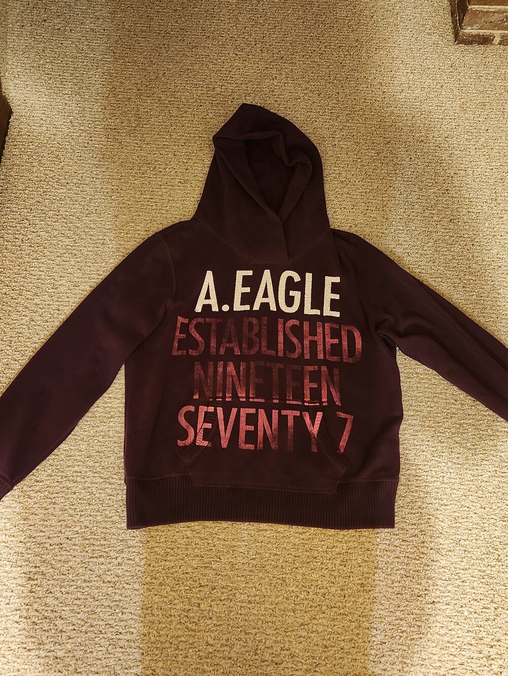 Women's Burgundy Graphic Hoodie Sweater